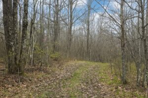 Recreational land for sale in Washburn County, WI near Trego, with power at the road, private Northwoods setting, and access to lakes, rivers, and trails.