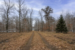 Wooded Acreage For Sale Near Trego Lake – 2 Hours from Twin Cities!