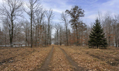 Wooded Acreage For Sale Near Trego Lake – 2 Hours from Twin Cities!