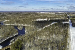 Wooded Northwoods parcel near Trego and Spooner, WI with power at the road, private setting, and access to lakes, rivers, and trails.