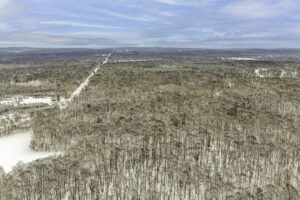 Wooded Northwoods parcel near Trego and Spooner, WI with power at the road, private setting, and access to lakes, rivers, and trails.