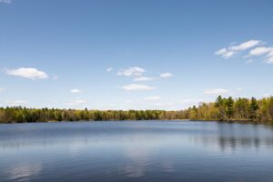 Wooded land for sale in Washburn County, WI near Trego Lake and Namekagon River, ideal for cabin, campsite, or full-time home.