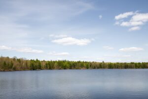 Recreational land for sale in Washburn County, WI near Trego, with power at the road, private Northwoods setting, and access to lakes, rivers, and trails.