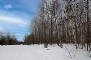 Wooded Northwoods Lot Backing National Forest Near Fishtrap Lake