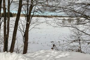 Wooded Northwoods Lot Backing National Forest Near Fishtrap Lake