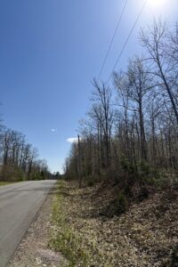 Wooded Northwoods Lot Backing National Forest Near Fishtrap Lake