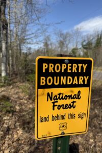 Wooded Northwoods Lot Backing National Forest Near Fishtrap Lake