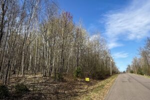 Affordable Buildable Land Near Lakes, Trails & Public Forest – Winter, WI