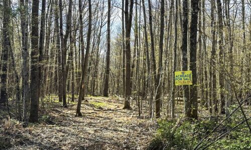 Wooded Buildable Land Near Fishtrap Lake & Trail Systems