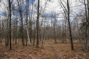 Wooded Buildable Land Near Fishtrap Lake & Trail Systems