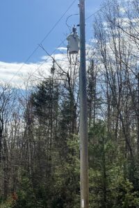 Wooded Buildable Land Near Fishtrap Lake & Trail Systems