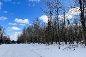 10.86 Acres For Sale Near Fishtrap Lake – Winter, WI