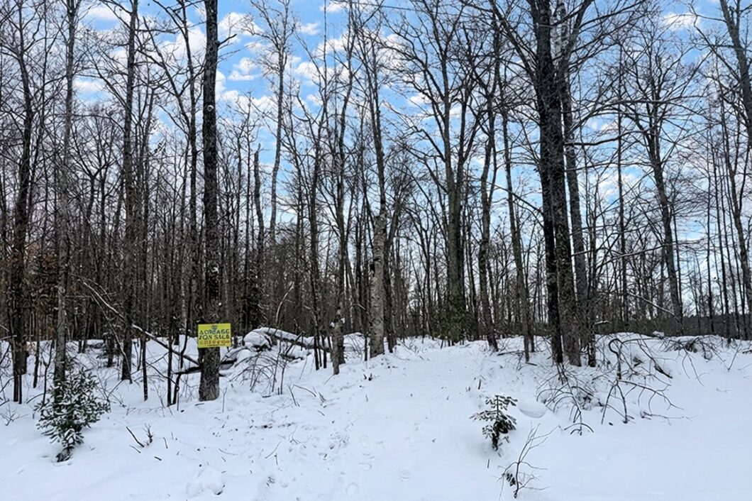 10.86 Acres For Sale Near Fishtrap Lake – Winter, WI