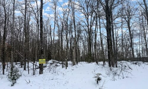 10.86 Acres For Sale Near Fishtrap Lake – Winter, WI