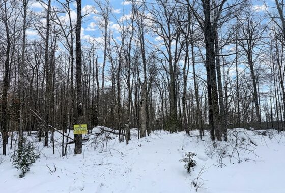 10.86 Acres For Sale Near Fishtrap Lake – Winter, WI
