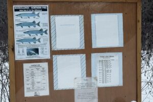 2.74 Acres Buildable Wooded Land For Sale Near Fishtrap Lake – Winter, WI