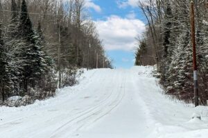 2.74 Acres Buildable Wooded Land For Sale Near Fishtrap Lake – Winter, WI