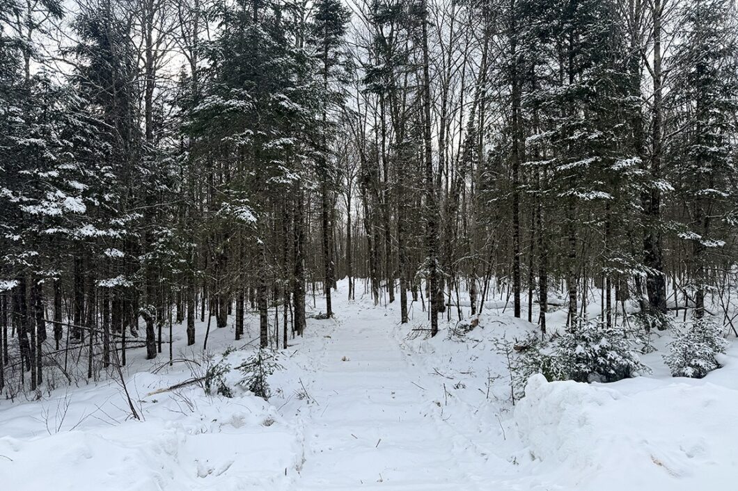 2.74 Acres Buildable Wooded Land For Sale Near Fishtrap Lake – Winter, WI