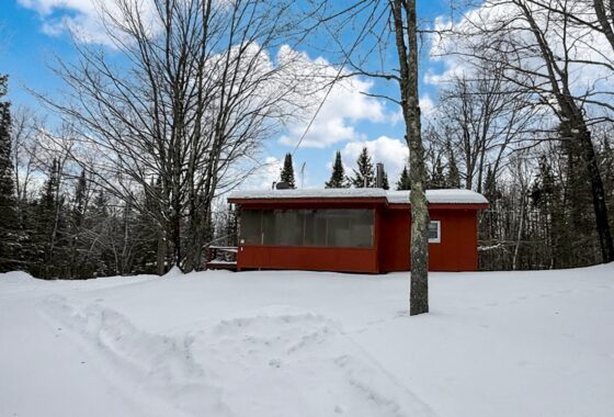 4+ Acres Wooded Land For Sale with 2-BR Cabin near Winter, WI