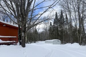 4+ Acres Wooded Land For Sale with 2-BR Cabin near Winter, WI