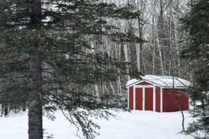 4+ Acres Wooded Land For Sale with 2-BR Cabin near Winter, WI