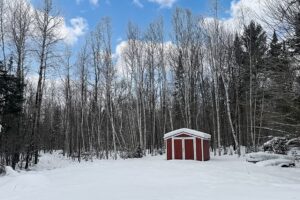 4+ Acres Wooded Land For Sale with 2-BR Cabin near Winter, WI