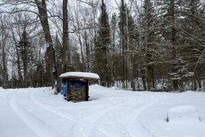 4+ Acres Wooded Land For Sale with 2-BR Cabin near Winter, WI