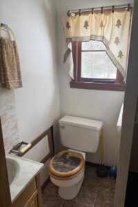 4+ Acres Wooded Land For Sale with 2-BR Cabin near Winter, WI