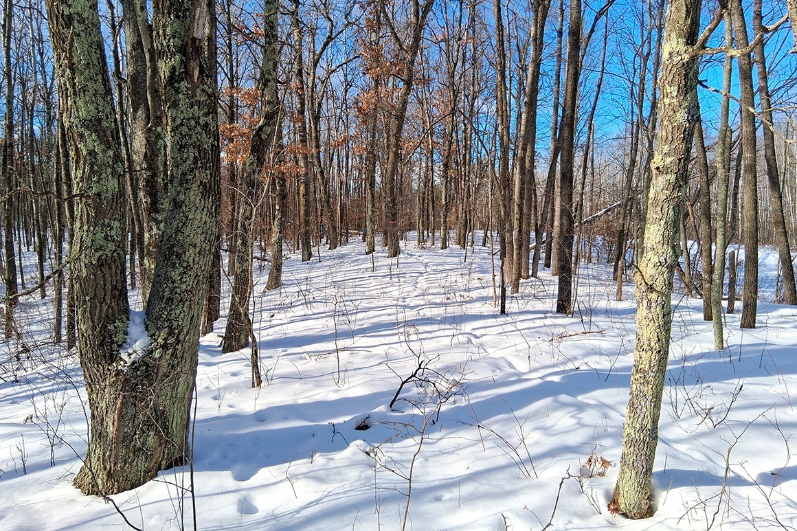 Northwest WI Acreage near Namekagon River!