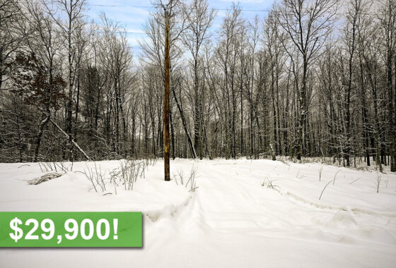 2 Acres of Secluded Buildable Land For Sale in Washburn County!