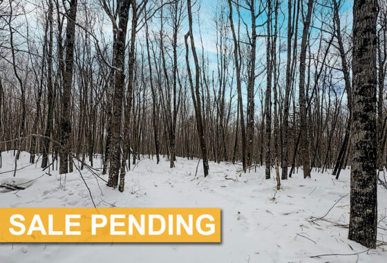 Large 7.3 Acres of Buildable Land For Sale in Sawyer County!