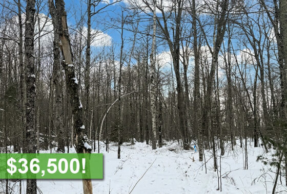 2.74 Acres Buildable Wooded Land Near Winter, WI!