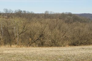 Nearly 25 Acres Land For Sale Overlooking Kickapoo River Valley in Southern Wisconsin Driftless Region