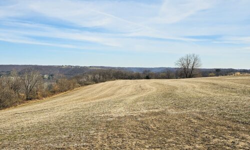 Nearly 25 Acres Land For Sale Overlooking Kickapoo River Valley in Southern Wisconsin Driftless Region