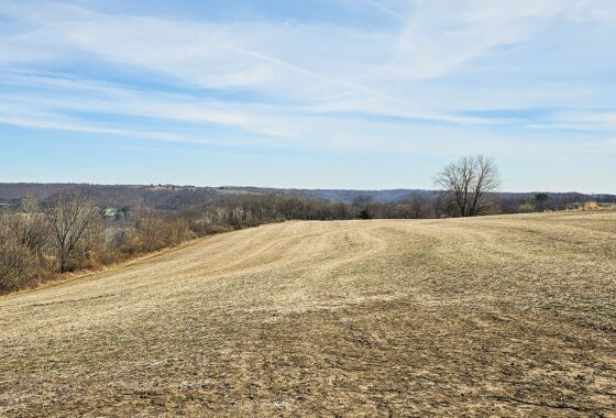 Nearly 25 Acres Land For Sale Overlooking Kickapoo River Valley in Southern Wisconsin Driftless Region