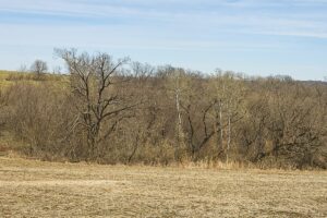 Nearly 25 Acres Land For Sale Overlooking Kickapoo River Valley in Southern Wisconsin Driftless Region