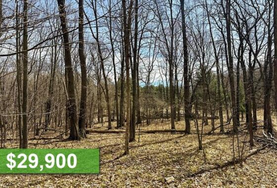 1.79 Acres Buildable Land with Pond Frontage near Chetek, WI!