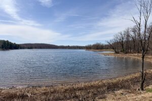 Buildable wooded parcel for sale in Rusk County near Chetek, offering a quiet setting on a maintained dead-end road.