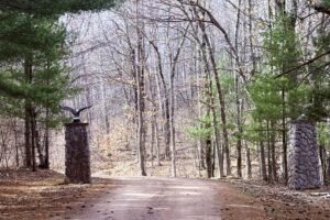 Buildable wooded land for sale in Rusk County near Chetek, offering a quiet setting on a maintained dead-end road.