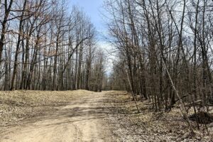 Buildable wooded land for sale in Rusk County near Chetek, offering a quiet setting on a maintained dead-end road.