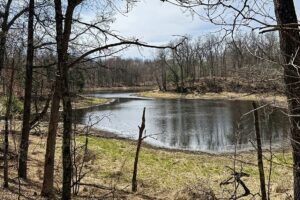 Buildable wooded land for sale in Rusk County near Chetek, offering a quiet setting on a maintained dead-end road.