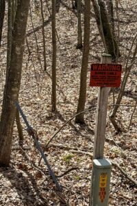 Buildable wooded land for sale in Rusk County near Chetek featuring 287 feet of pond frontage.