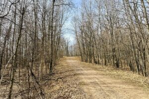 Buildable wooded land for sale in Rusk County near Chetek featuring 287 feet of pond frontage.