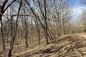 Buildable wooded land for sale in Rusk County near Chetek featuring 287 feet of pond frontage.