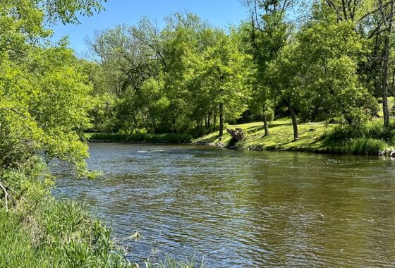Land for sale with 211 ft of private frontage on the Apple River in St. Croix County.