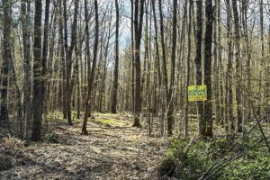 2.2 Acres in near Winter, WI – Sawyer County
