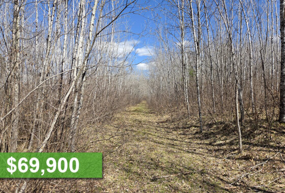 10 Acres of Buildable Land Close to Lake Nokomis!
