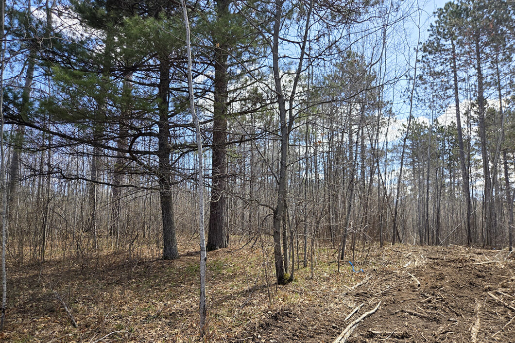 Land for sale near Tomahawk, WI just minutes from Lake Nokomis.