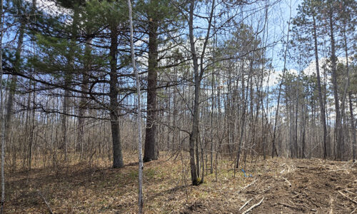 Land for sale near Tomahawk, WI just minutes from Lake Nokomis.