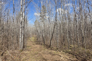 Land for sale near Tomahawk, WI just minutes from Lake Nokomis.